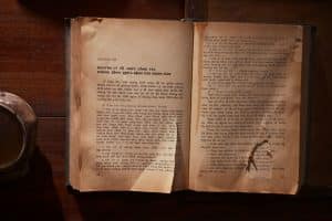 Article 544 Code civil droit de propriété texte original