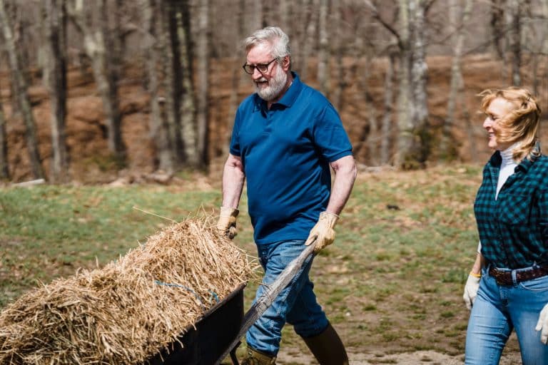 Succession agricole familiale et salaire différé descendant exploitant