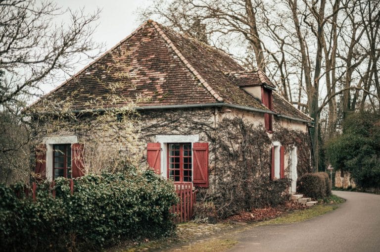 Gîte rural en pierre à vendre en France avec jardin fleuri