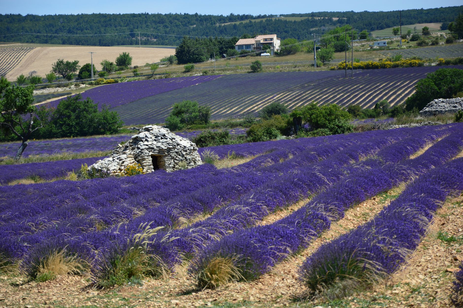 Maison de campagne en pierre à vendre dans le sud de la France